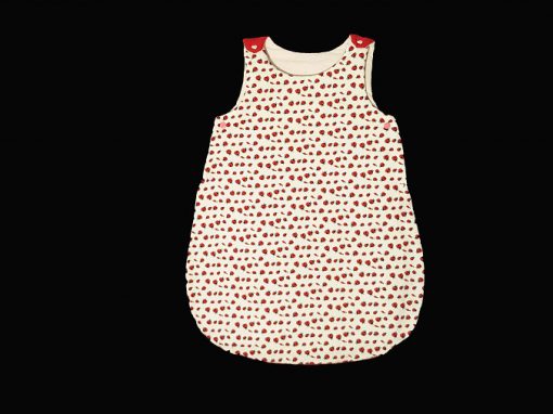 Gigoteuse coccinelle